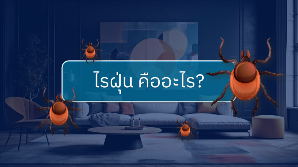 ไรฝุ่น คืออะไร