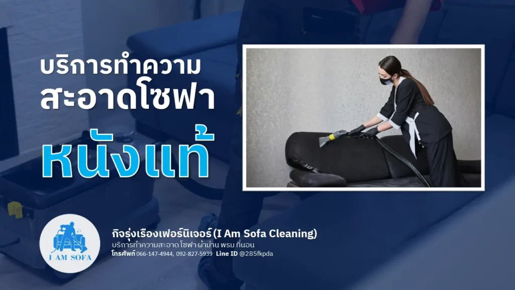 ทำความสะอาดโซฟาหนังแท้